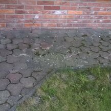 čistenie dlažby od machu
