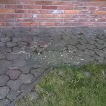 čistenie dlažby od machu