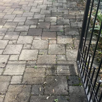čistenie zámkovej dlažby od machu